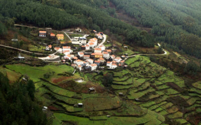 Peran Camat dalam Mengoordinasikan Pembangunan Desa